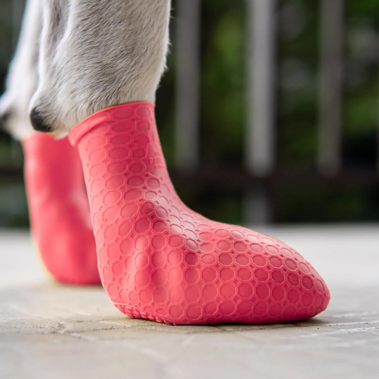 Paw-Skins Next-Gen Dog Boots | Paw Protectors | Skin-Like Silicone Dog Shoes | Small Size | High-Grip Dog Booties for Snow, Hot Pavement & Floors Protection