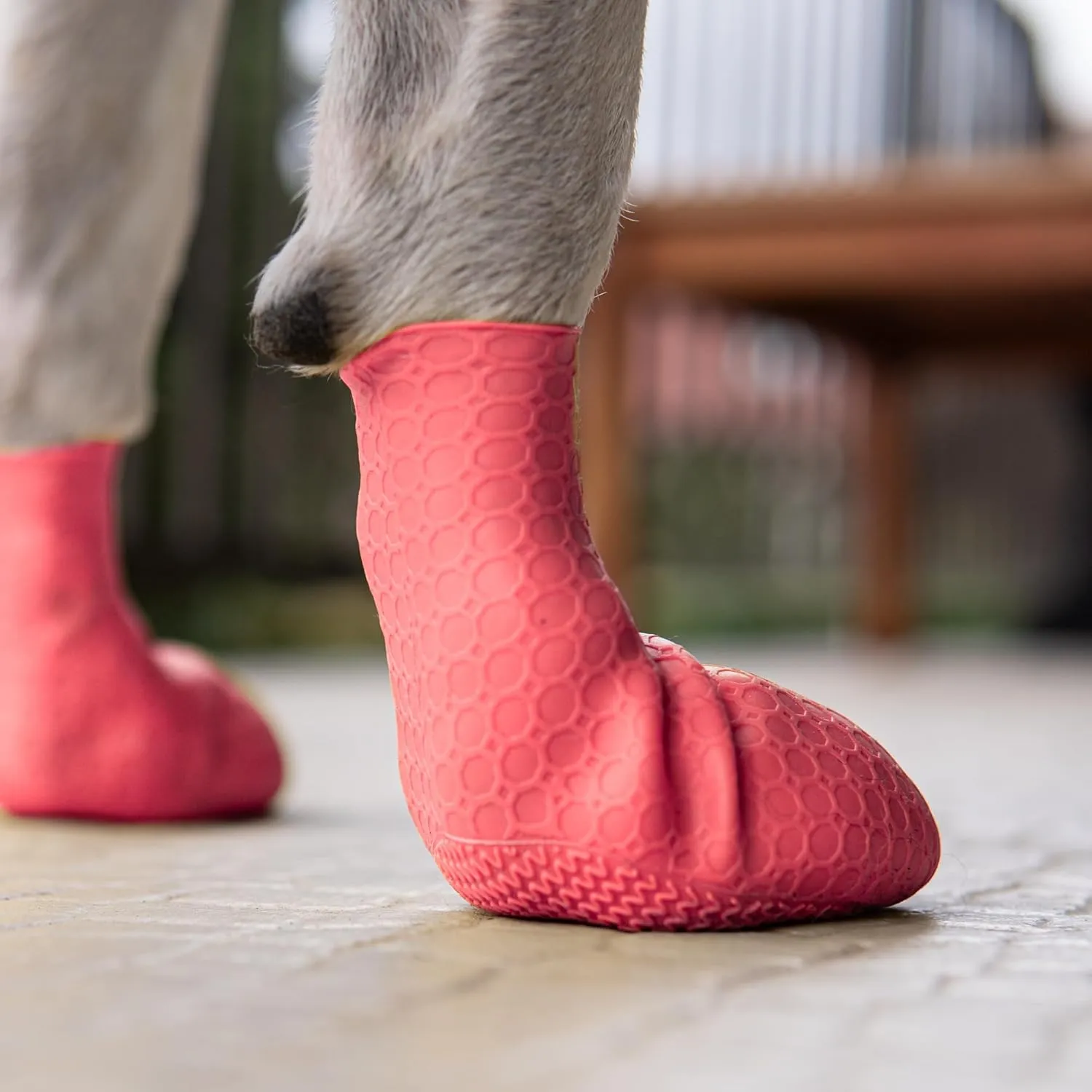 Paw-Skins Next-Gen Dog Boots | Paw Protectors | Skin-Like Silicone Dog Shoes | Small Size | High-Grip Dog Booties for Snow, Hot Pavement & Floors Protection