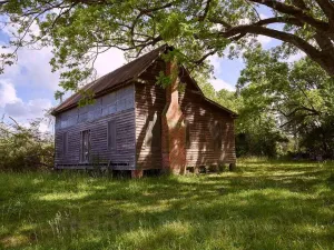 Photo - Rustic Rural Cabin Near The Audubon Center at Beidler Forest, a Nature Preserve, Wildlife Sanctuary- Fine Art Photo Reporduction 30in x 24in