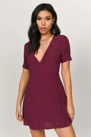 Tobi Kristi Mesh A-line Mini Dress - Wine