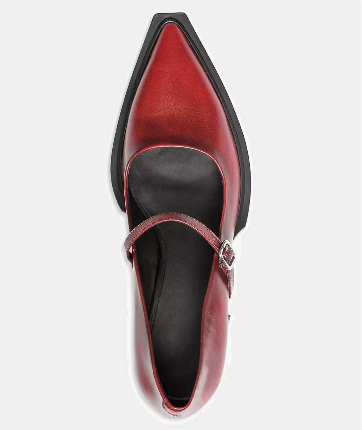 Wide Welt Mary Jane Pumps for Women Pointed Toe Buckle Strap Mary Janes Chunky Heeled Flats Comfort Casual Block Heel Shoes