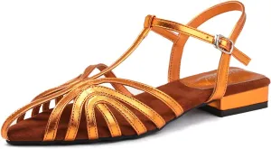 Women'S Strappy Pointed Closed Toe Low Chunky Heel Roman Sandals Fashion Adjustable Buckle Cut Out Cage Comfortable Flat Fisherman Sandals Casual Summer Breathable T Strap Beach Sandals